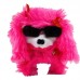 BRINQ CÃO FOFINHO