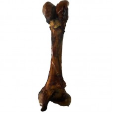 OSSO FEMUR BOVINO