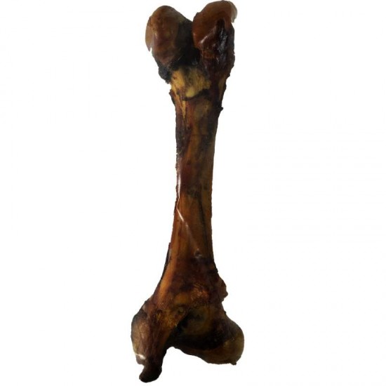 OSSO FEMUR BOVINO