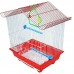 G. CASA 40X39X24