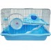 G. HAMSTER CASA C/ CARINHA 46X31X31