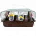 G. HAMSTER C/ DIVISAO 30X16X23