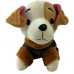 ROUPA PET SUETER N°00