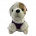 ROUPA PET SUETER OVELHA N°00