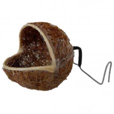 NINHO CONCHA S/POLEIRO  *