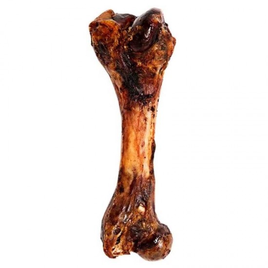 OSSO FEMUR SUINO 