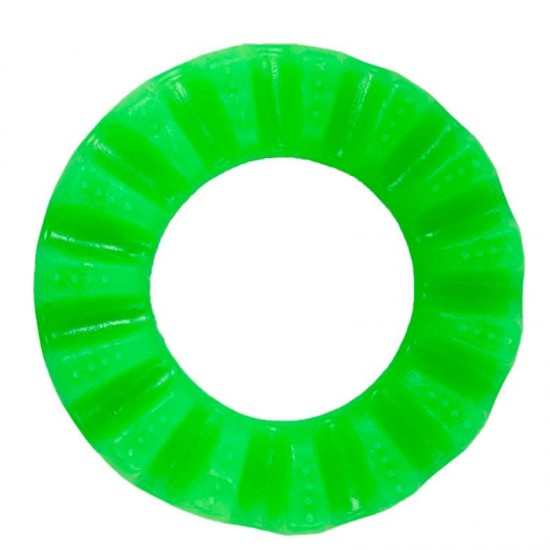 BRINQ PET PNEU G RESIS. VERDE 14CM Ø