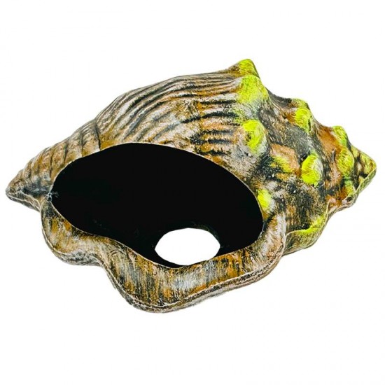 CARACOL DECORADO