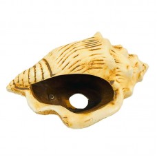 CARACOL ENVELHECIDO