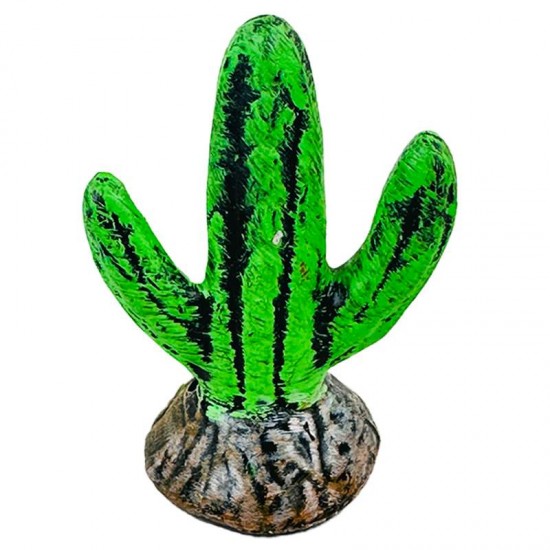 CACTO DEDO DECORADO