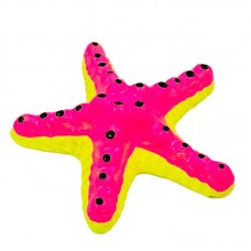 ESTRELA PQ DECORADA