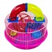 G. HAMSTER GLOBINHO 177 EPOX ROSA