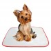 TAPETE HIG LAV PET WASH P