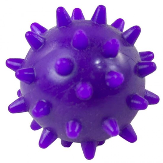 BRINQ BOLA MAMONA P ROXA