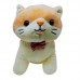 BRINQ PELUCIA GATINHO 17CM