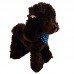 BRINQ CACHORRO PELUCIA 