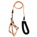 GUIA PET C/PEITORAL C/PEGADOR 150X1,5CM