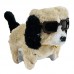 BRINQ CACHORRO ESTILOSO SONORO