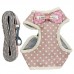 PEITORAL E GUIA CUTE C/LACO M