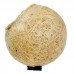 NINHO BOLA 1 FURO