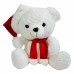 BRINQ PELUCIA URSO 
