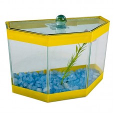 BETEIRA OMEGA DECORADA