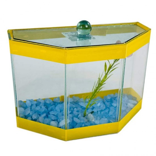 BETEIRA OMEGA DECORADA