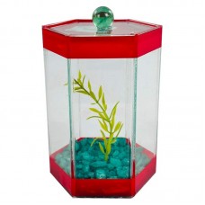 BETEIRA SEXTAVADA TRADICIOAL DECORADA