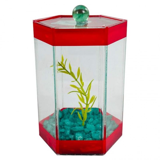 BETEIRA SEXTAVADA TRADICIOAL DECORADA