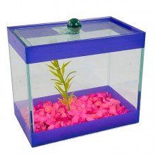 BETEIRA 15X09X13 DECORADA