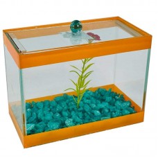 BETEIRA 17X09X13 DECORADA