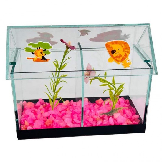 BETEIRA CASINHA DUPLA DECORADA