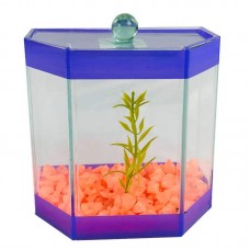 BETEIRA HABBY 15X10X15 DECORADA