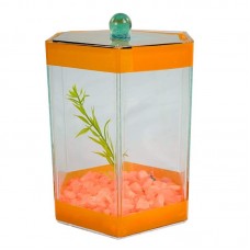 BETEIRA SEXTAVADA Nº1 DECORADA