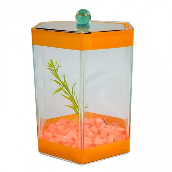 BETEIRA SEXTAVADA Nº1 DECORADA