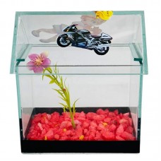 BETEIRA CASINHA DECORADA