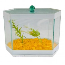 BETEIRA IPANEMA Nº2 DECORADA