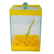 BETEIRA 10X10X15 DECORADA