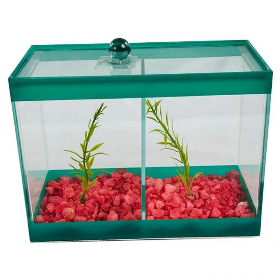 BETEIRA DUPLA 20X10X15 DECORADA