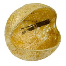 NINHO BAIANO CONCHA S/GANCHO *