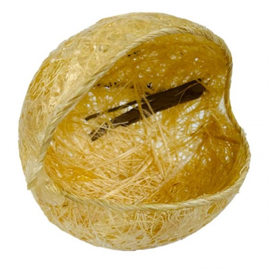 NINHO CONCHA S/POLEIRO  *